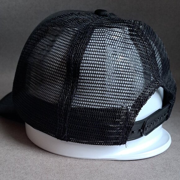 Pete's Dragon New Zealand 2015 Camera USED Hat (Snapback, Disney, Operator) - Picture 4 of 11